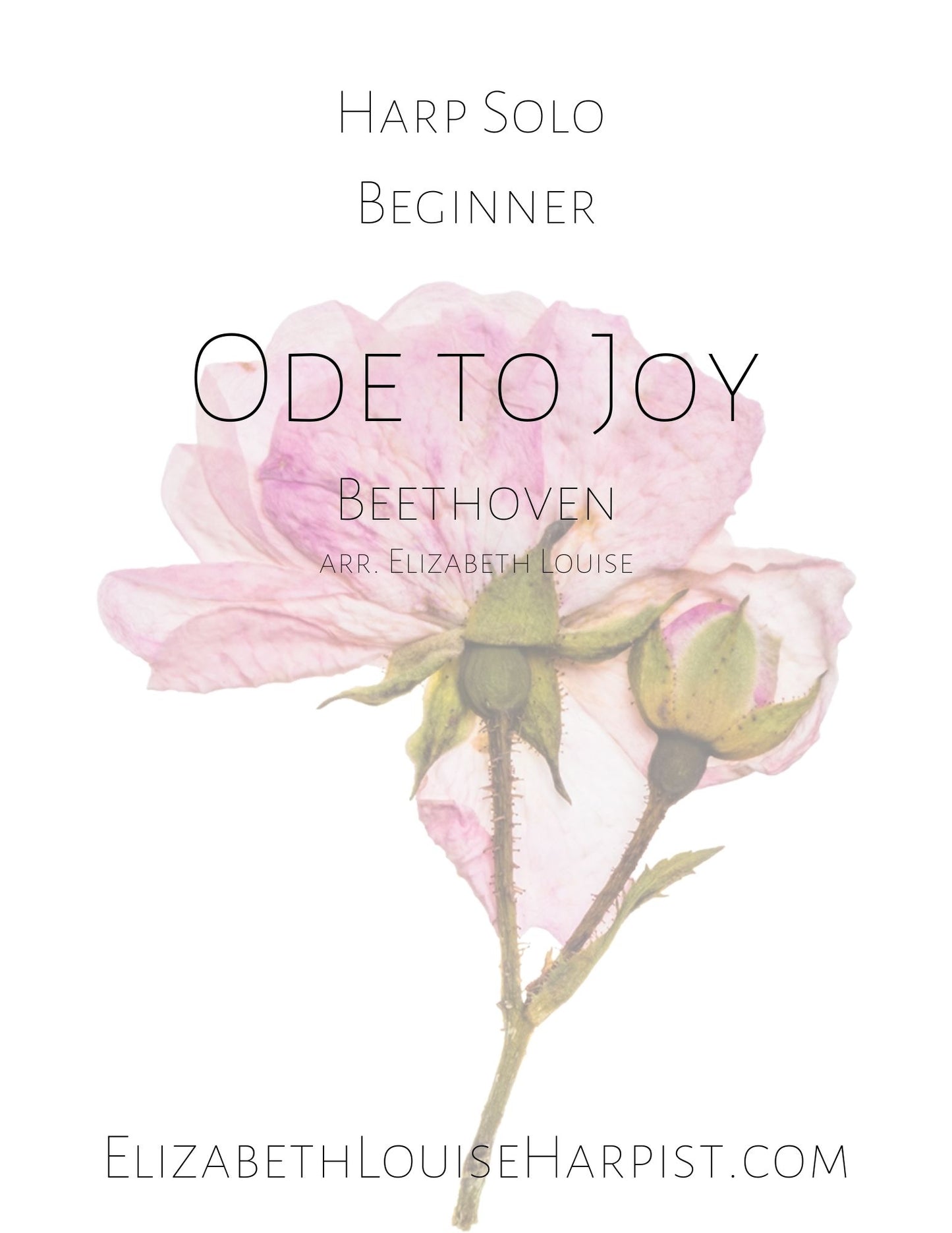 Ode to Joy (Beginner)