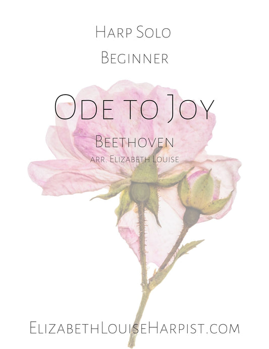 Ode to Joy (Beginner)